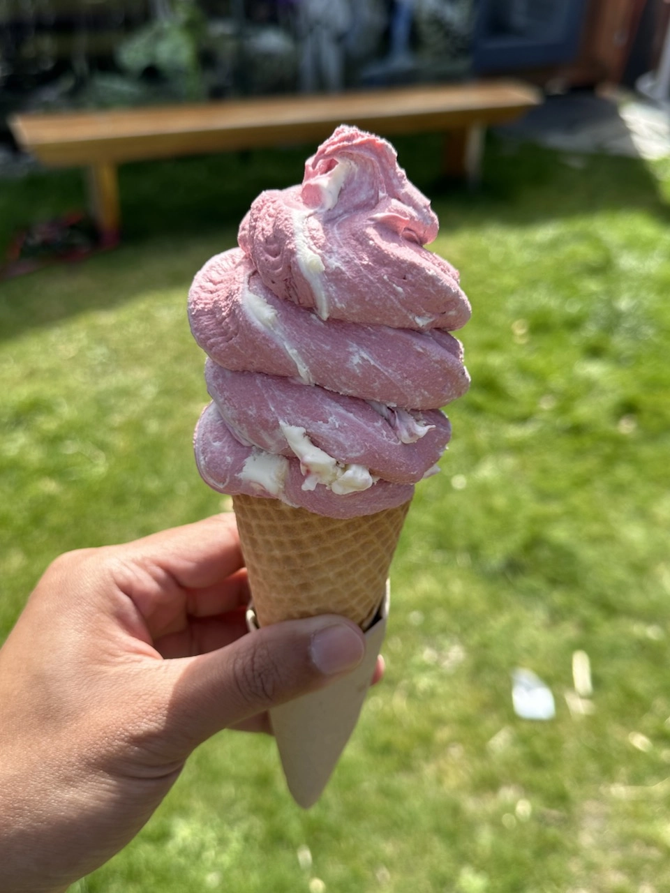 Real Fruit Ice Cream Glenorchy